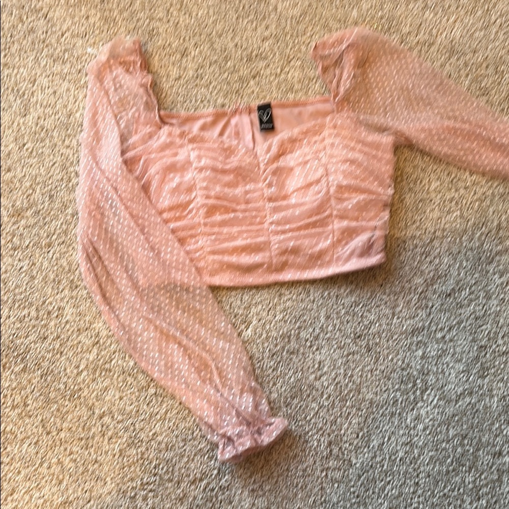 Windsor Light Pink Ruched Blouse with Sheer Sleeves